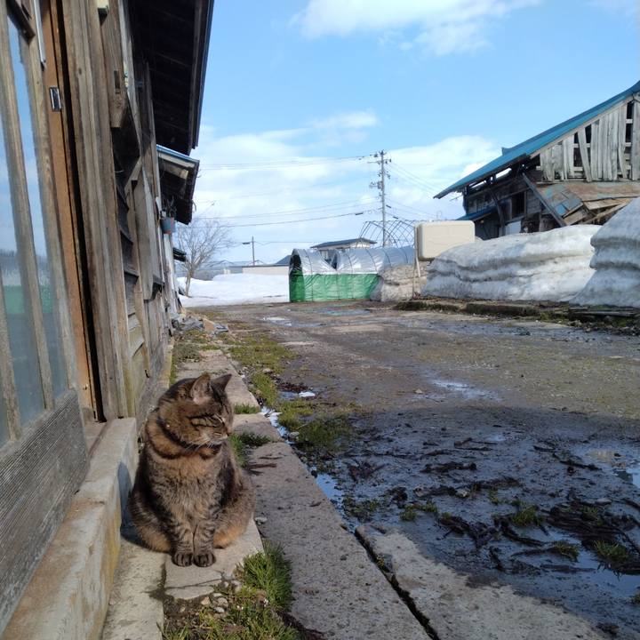 Cfb9e3ef 79f1 4ebe b06b 3d88c1f21131 1742459808515