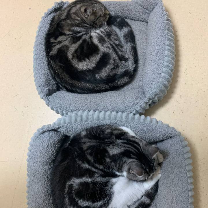 Cfba0193 42e5 43b6 abb7 3d9437397ea8 1761660388138