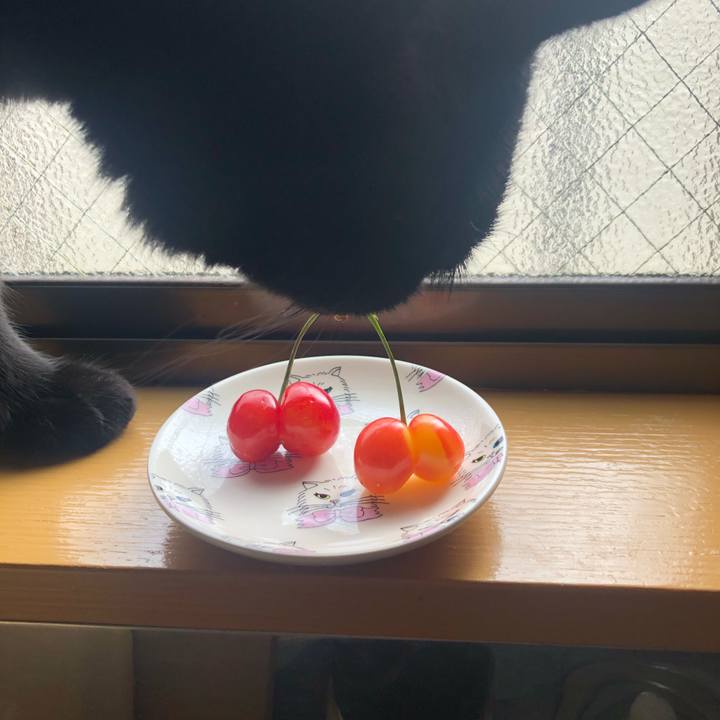 Cfba425c fd14 449e ac0a 45583949507f 1561076388704