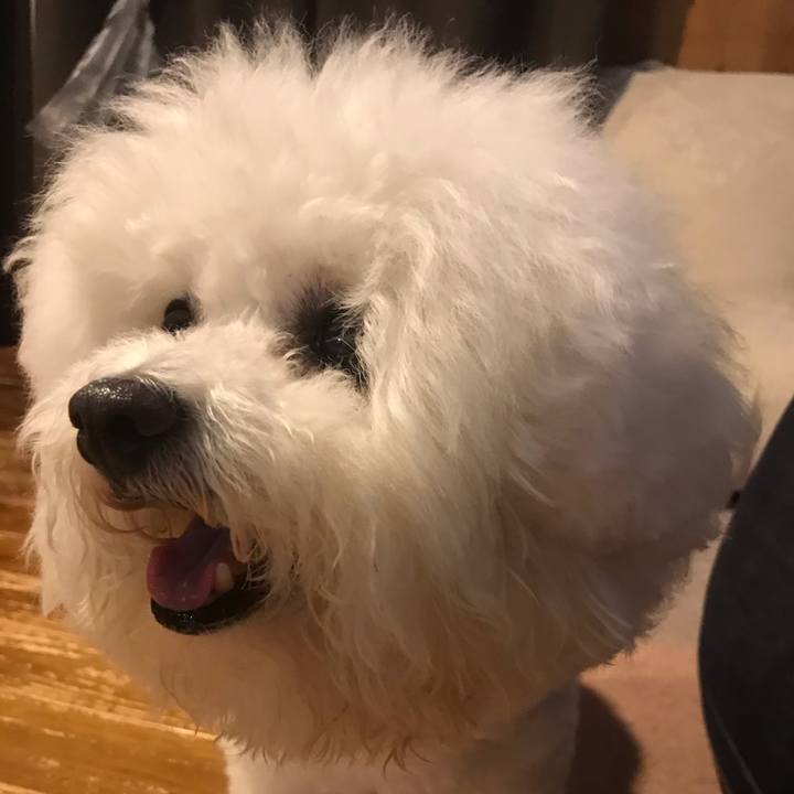 Cfba95fc 66f3 4af5 9ee7 473cc6d3d767 1593264985068