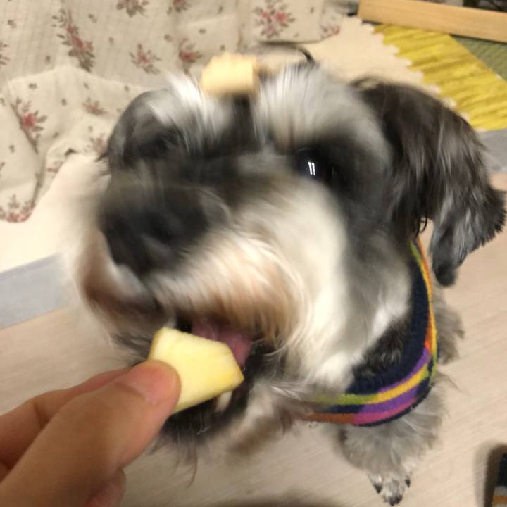 Cfbab216 e820 4c63 b33f d1fe23887d36 1643201571405