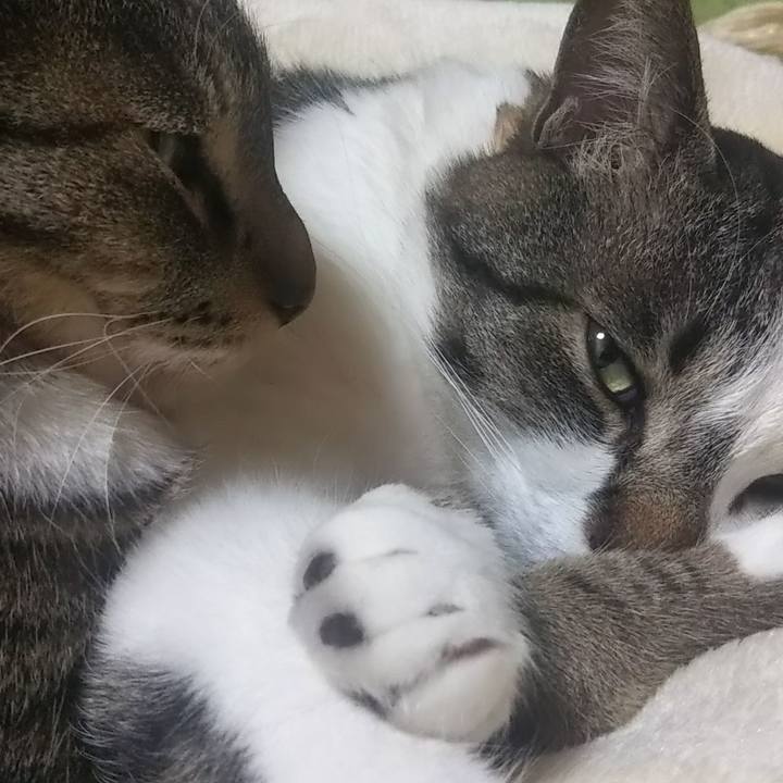 Cfbab25e 2c40 43d3 aeff 6dba2a96c4c6 1617023424262