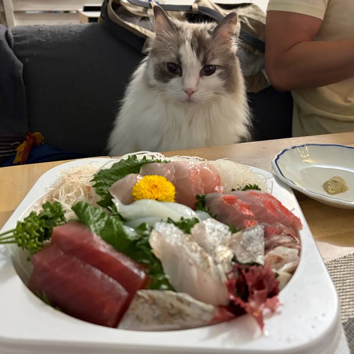 Cfbabe8e 42e5 4130 bd9a 08f5c3390b85 1776692267695