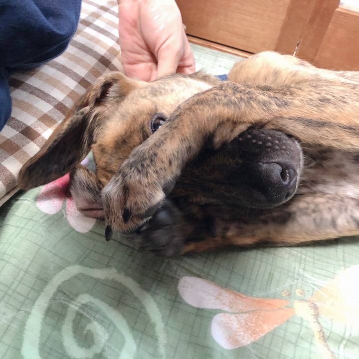 Cfbac218 769c 4e2b b2af ec660af4fb99 1569507584323