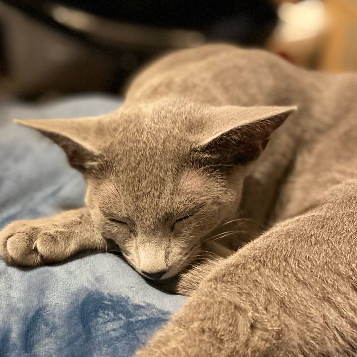 Cfbaddd6 85fb 4775 a6e4 a38b1c6a4128 1604147813738