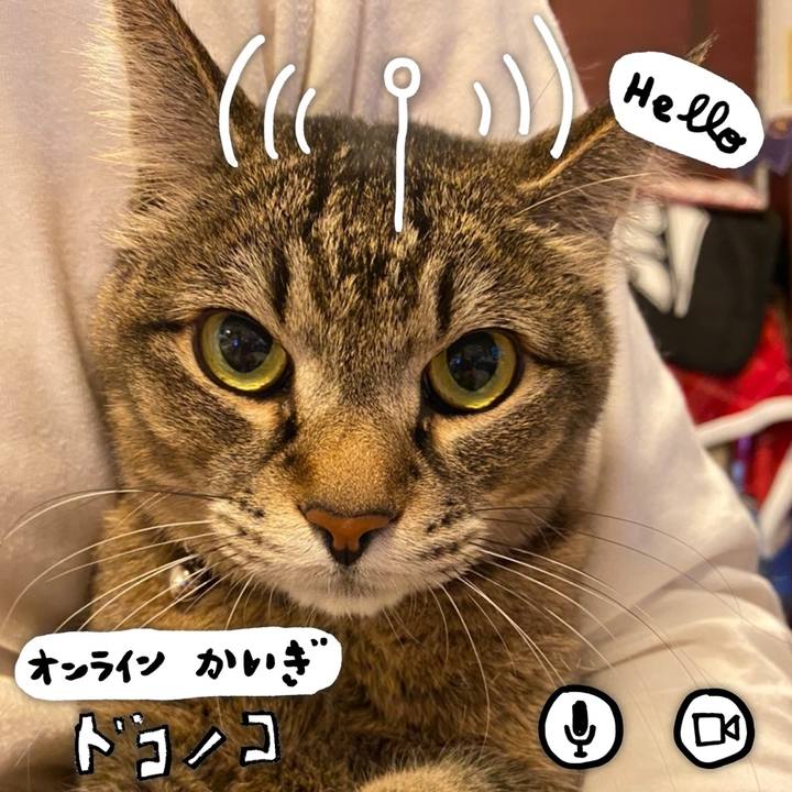 Cfbaf716 e4a0 4fe6 8d0f ff13111a02b8 1590722644566