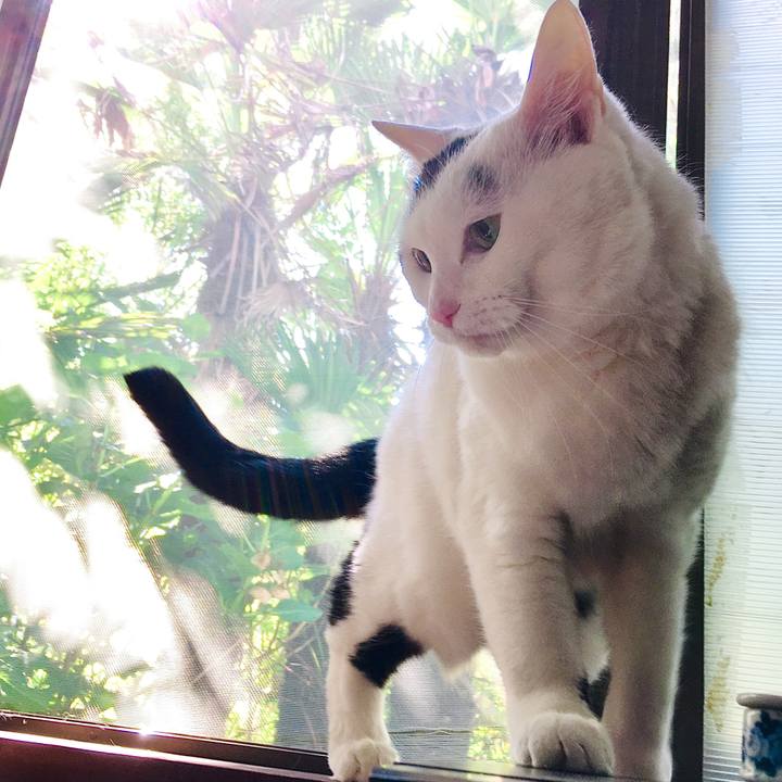 Cfbaf78a 523f 48b0 9f53 57de212d38c0 1590809257623