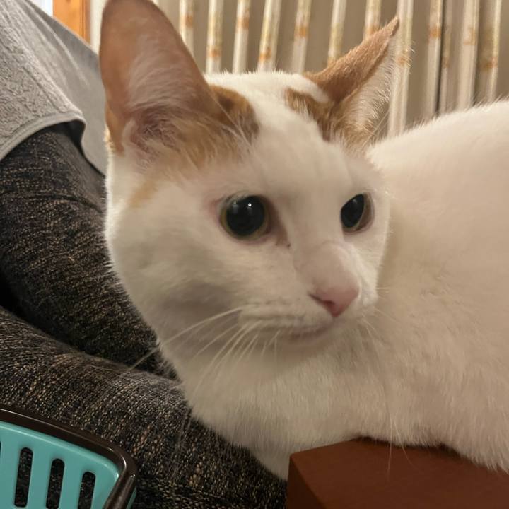 Cfbb1333 a7bc 48c8 b594 14fbbd5987c0 1763738305373