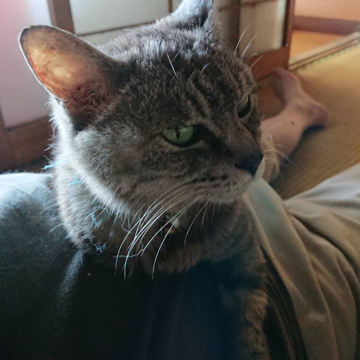 Cfbb3894 a610 45f6 8f55 daa2ac1e7b81 1567921241401