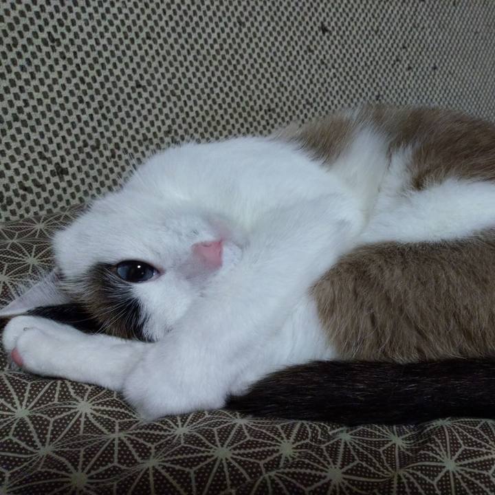 Cfbb5bfb d905 4b6f 85ed aed0d6627b10 1558445197601