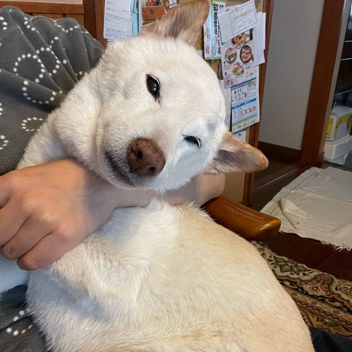 Cfbb64b2 f857 41b3 a66e 96618dcacd18 1650204568048