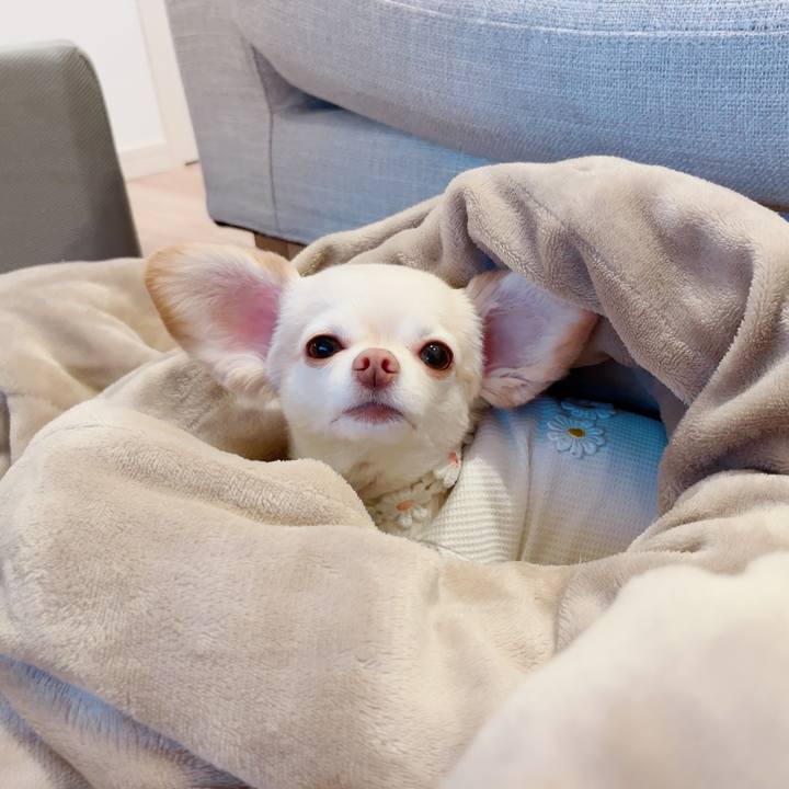 Cfbbc533 f067 4f71 b040 b069983ac2e2 1722254407268