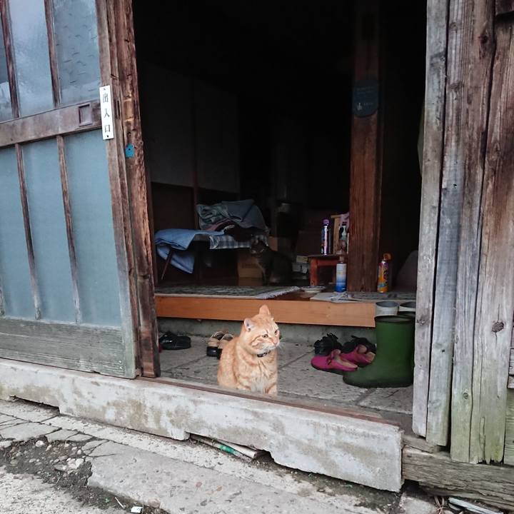 Cfbbcda6 e0ce 464e b617 c71d8afde895 1658608493256