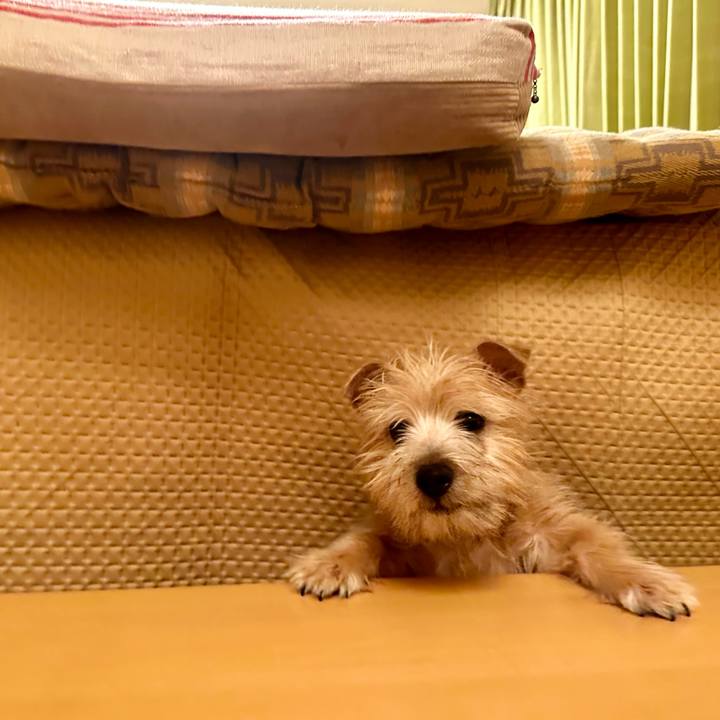 Cfbbfd5d 3f3a 4b09 b7b4 15d97bf30a64 1704294480103