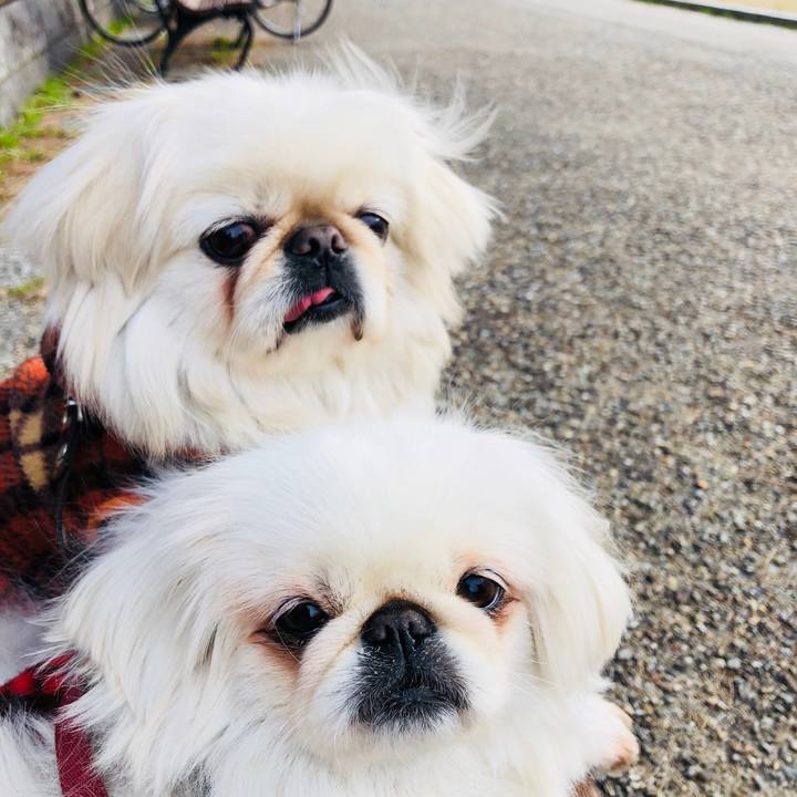 Cfbc10d0 c09e 4bf9 83ed 9e266645a9bf 1583576136579