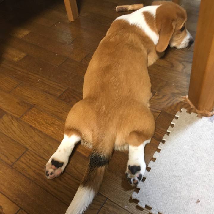 Cfbcc702 0753 45bb 90c4 b1adfbde251b 1593690457561