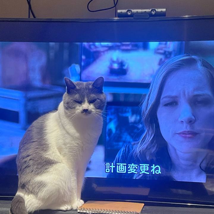 Cfbcdd9e 80c8 4b4c 8640 5461454f6d1a 1680620006479