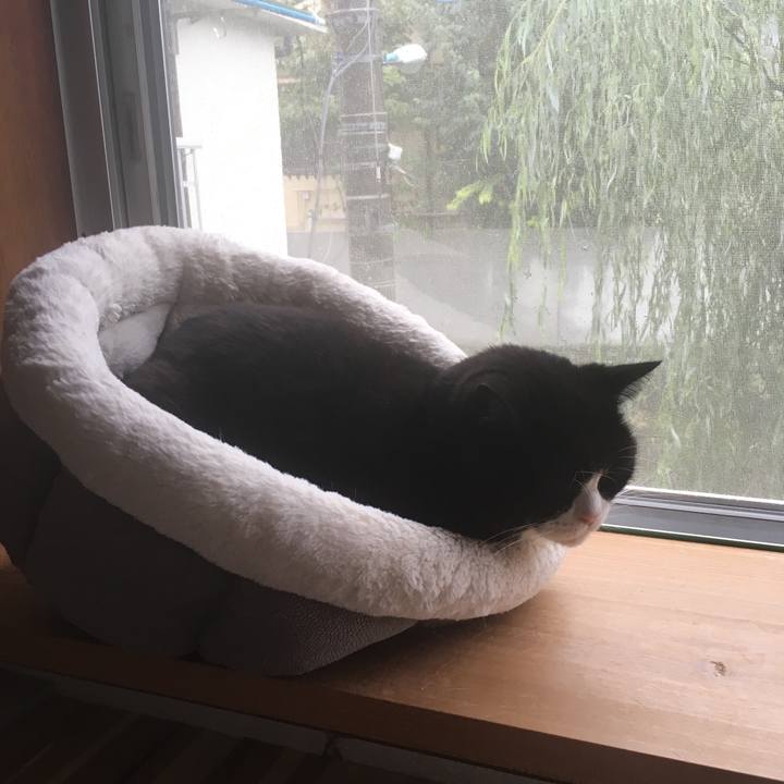 Cfbcf8db f529 4e21 a4ce ae56f17ea3f4 1571704085334