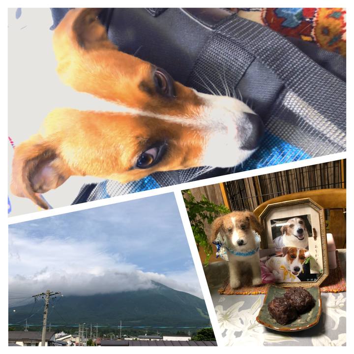 Cfbcfb8e 8049 49be 8be2 04690a4357ae 1528585199303