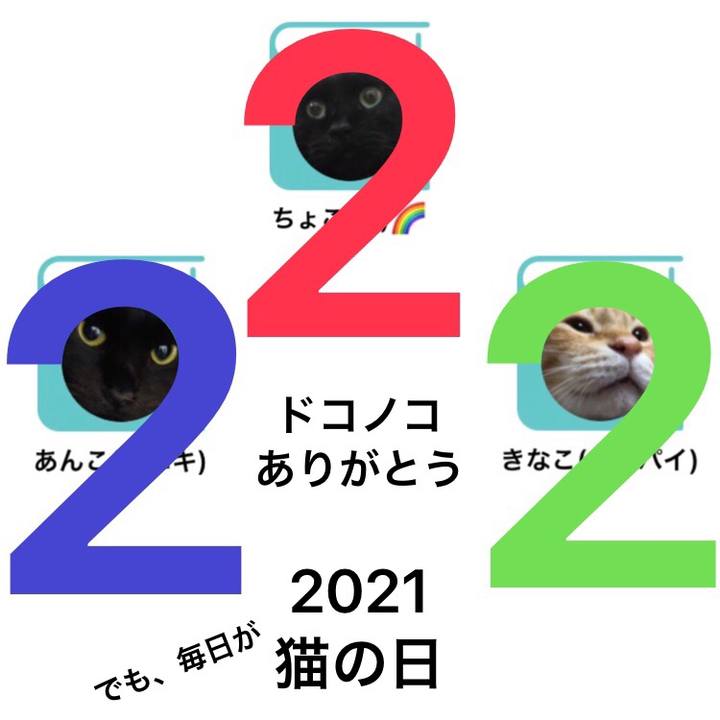 Cfbd1ae5 61c3 427a 97d0 254bea0cb846 1613874387423