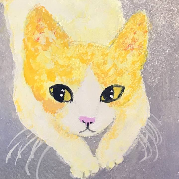 Cfbd3358 4c01 49a5 bbbb dbc274f2cfd1 1583396766413