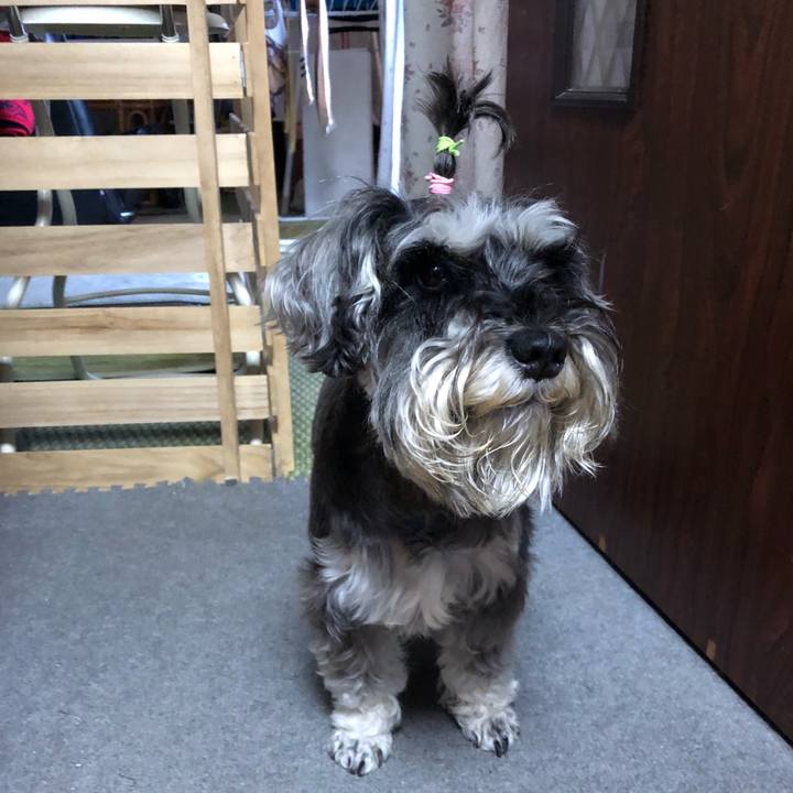 Cfbd4443 81a7 41b4 b314 d71584546f54 1529364906609