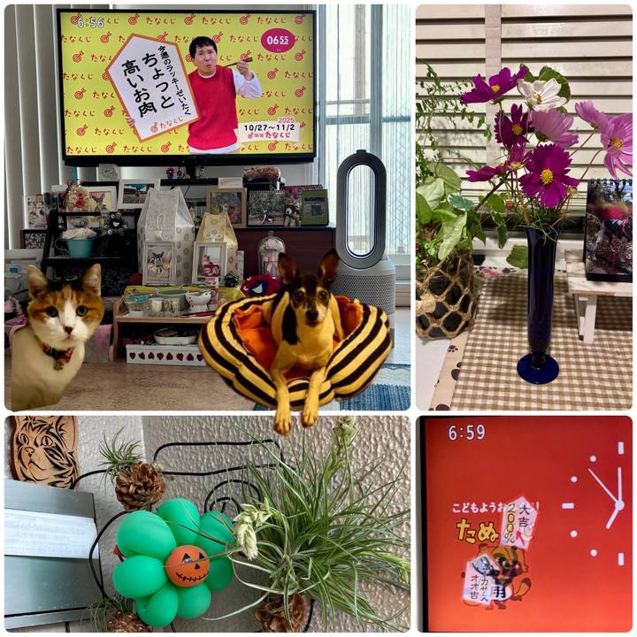 Cfbd64fd 6168 48da bc42 803216acf702 1761516528358