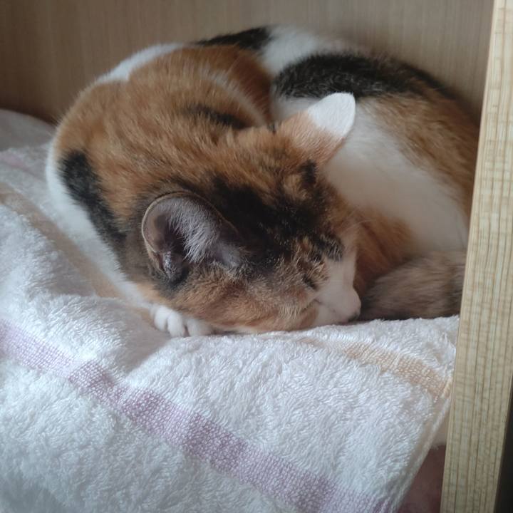 Cfbdcf9c a7f8 43eb b00a 9d791359ef1b 1683096765458