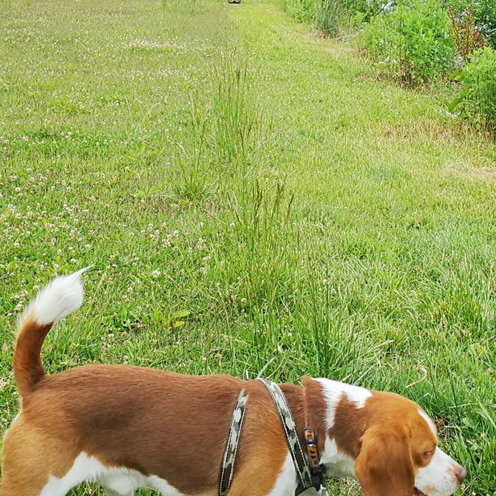 Cfbdd025 dd2b 429e 9901 d6931049e0c2 1539361276526