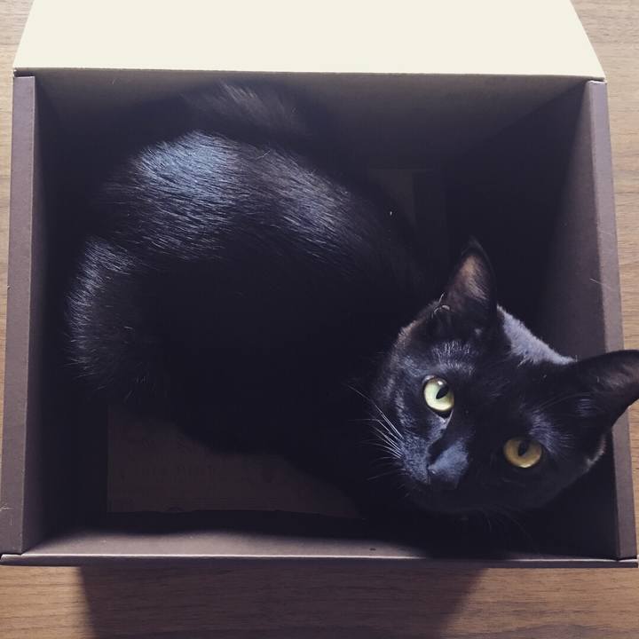 Cfbdf8c7 a3d6 4bb8 b3c8 2923e6061faf 1528242963416