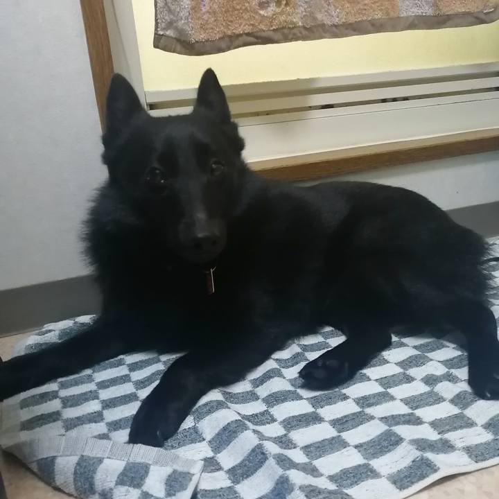 Cfbe01f7 0bd3 46c1 99bd 671da8ce147b 1621337499576