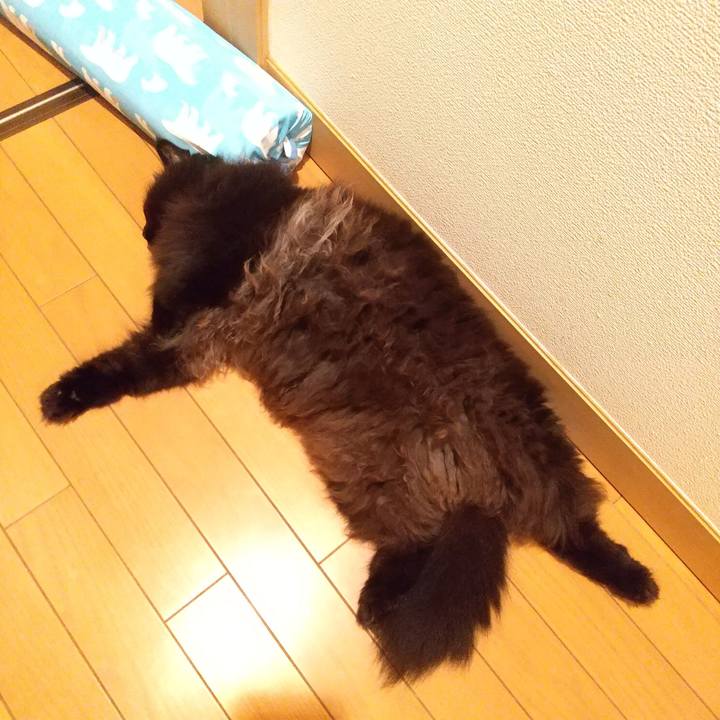 Cfbec4f3 a4d7 4684 9e16 2e5af7e33545 1597415576316