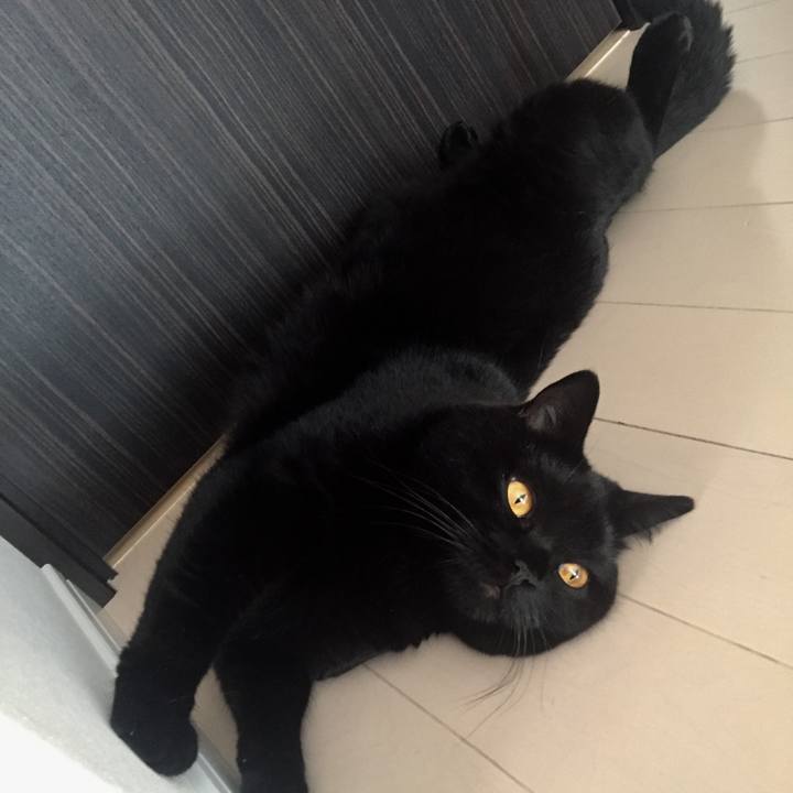 Cfbed7b7 c6a1 4a04 b6d4 2c3355e8987d 1534029279743