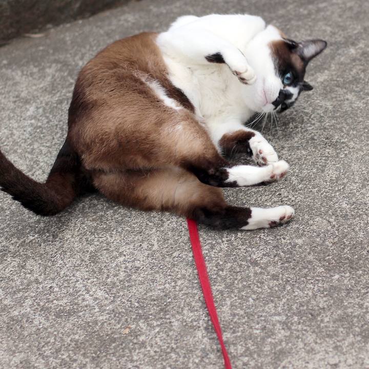 Cfbeec53 c478 4c66 b912 09ea538d2e0d 1526341021209