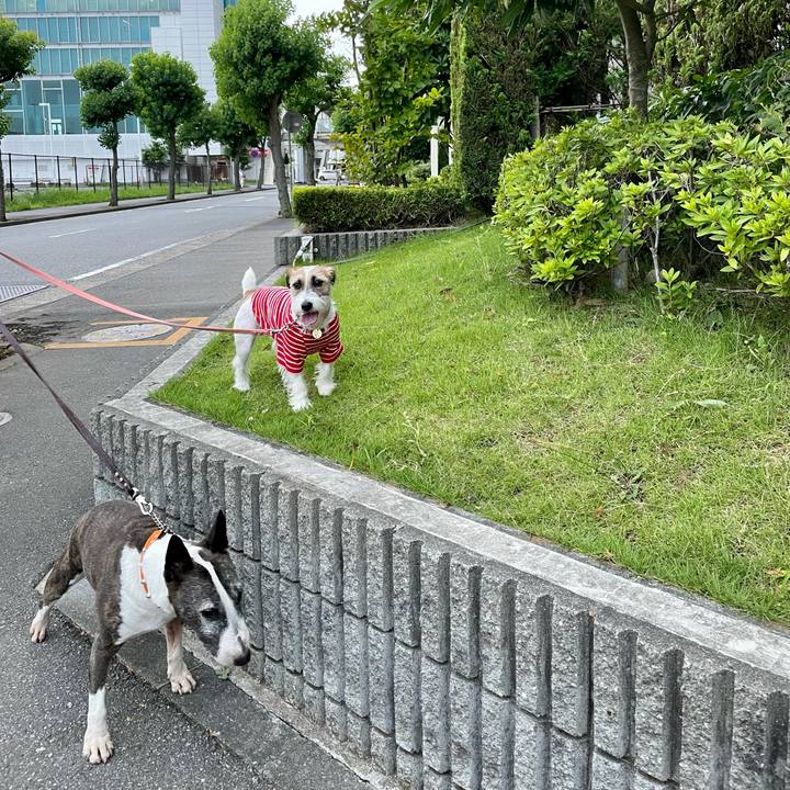 Cfbef377 cfd3 413e b4e5 6e570f0f9e45 1625059331352