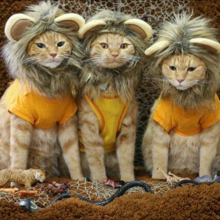 Cfbf02bf 37a6 4aef 89f6 07b15abc8a1b 1566200526235