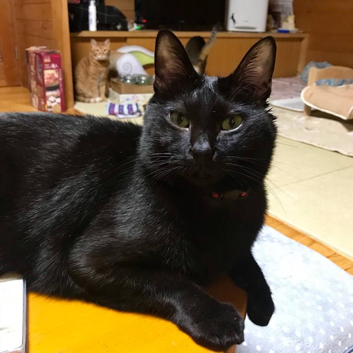 Cfbf0e82 65ce 4cbf a9df f78fece229c6 1541938637050