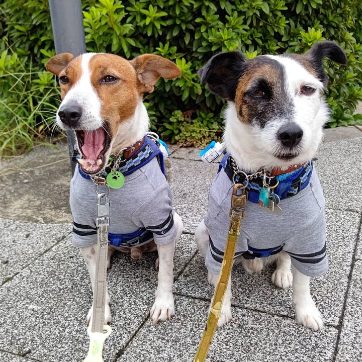 Cfbf2bff 58f2 4516 8fe7 8486983b6fd5 1631222403611