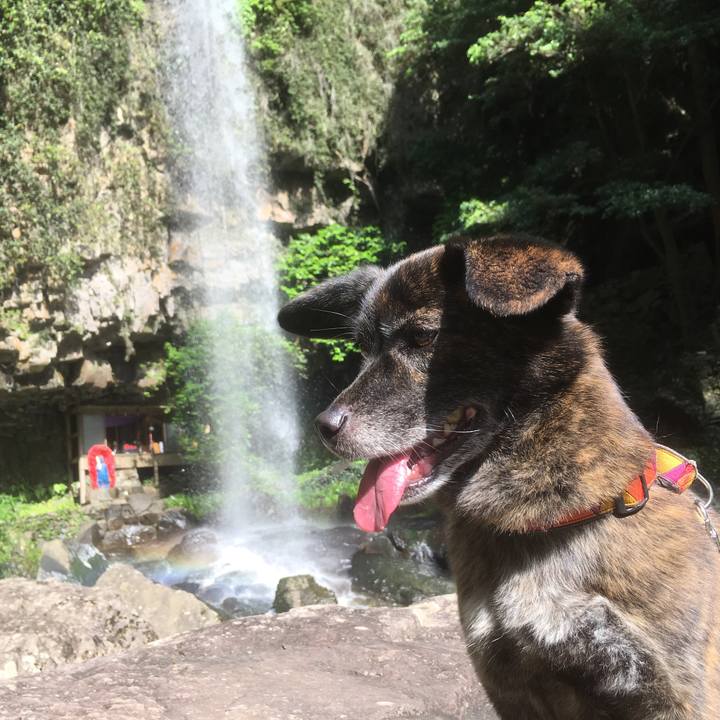 Cfbf3b4a 5791 4669 b941 152e125554b2 1528205333734