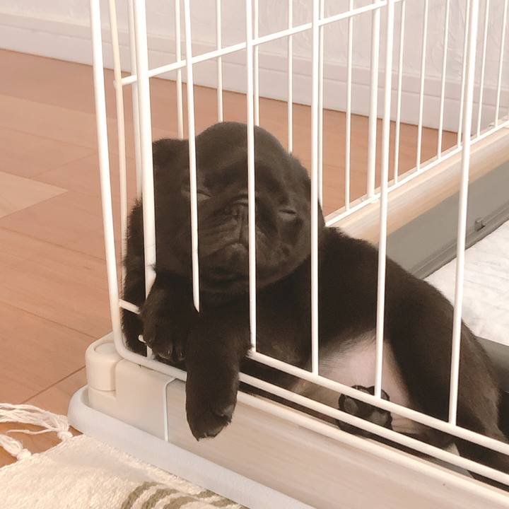 Cfbf6ea3 9551 43f0 9f1a ceca193fcdf5 1586732841777