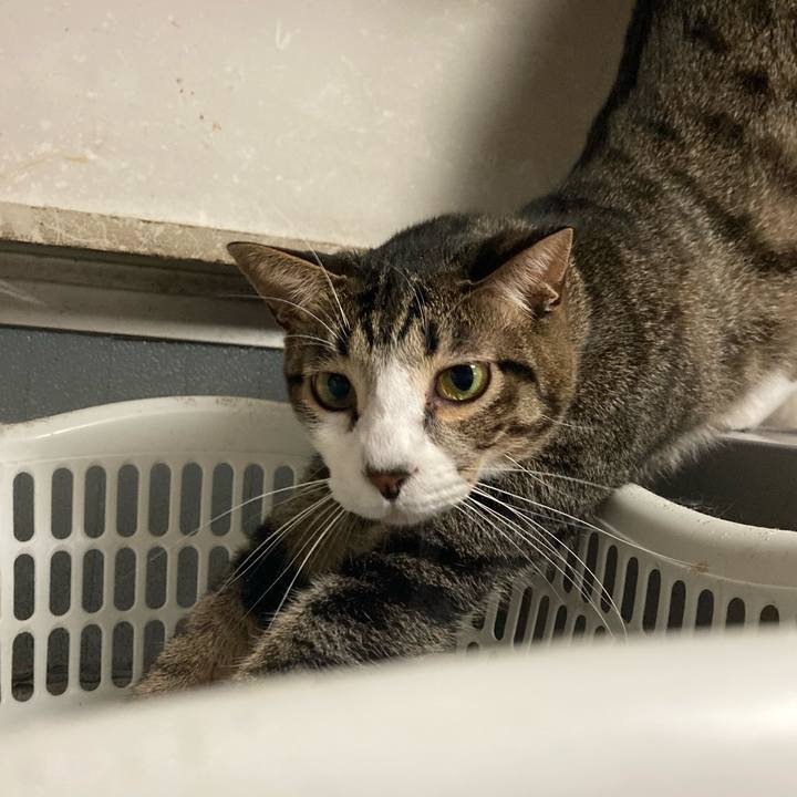 Cfbf75e8 541b 4e22 b1cf 7ebfd1d18a28 1749825557801