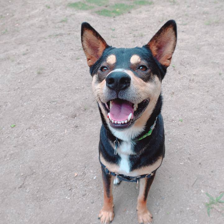 Cfbf92f4 c7cc 4898 ab0d da77523ad144 1557802303674