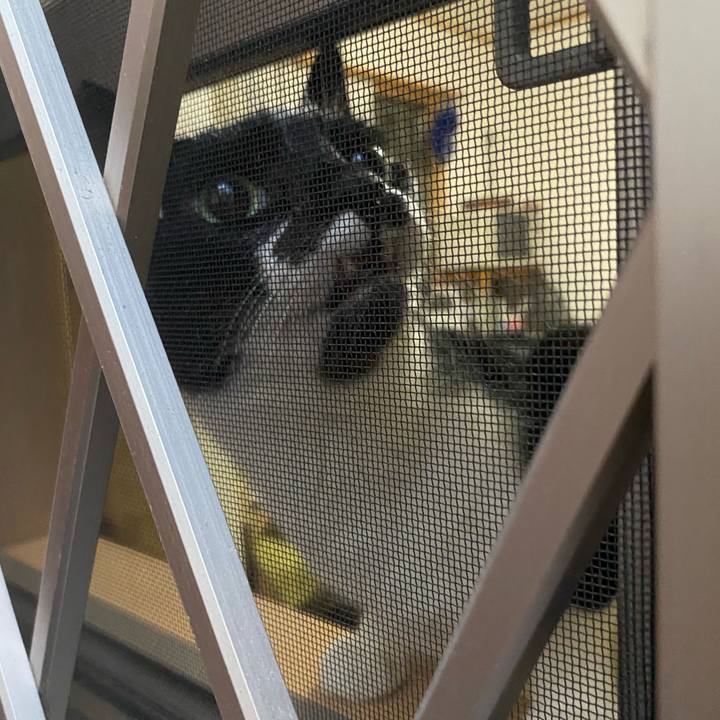 Cfbf95c5 cb01 4f7c a6aa d6bb246a9ef6 1691009381786