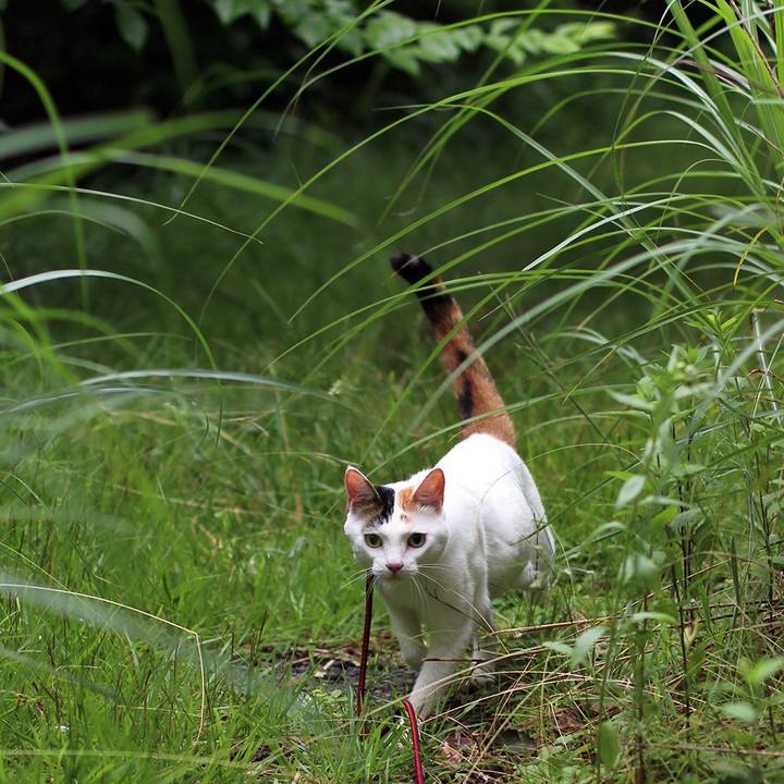 Cfbfefc7 e8d3 4855 a415 b966c4392e58 1603359398875