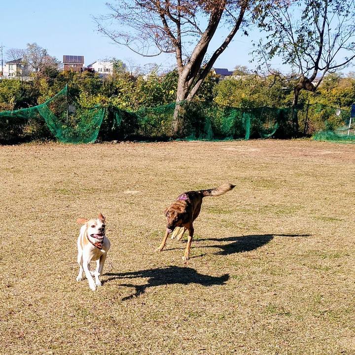 Cfbff1e4 e059 4977 b926 26b38c4686ea 1763176977514