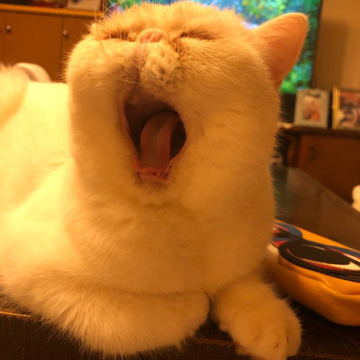 Cfbff361 8041 4166 bee3 90869d9ec297 1663158865146