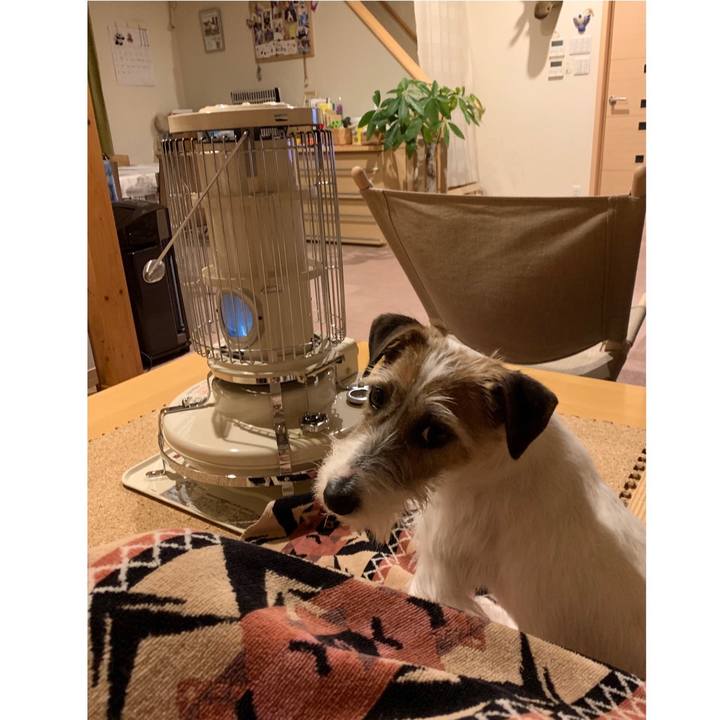 Cfc01cbc 3a47 4a11 b311 c51df683ecc5 1585575134445