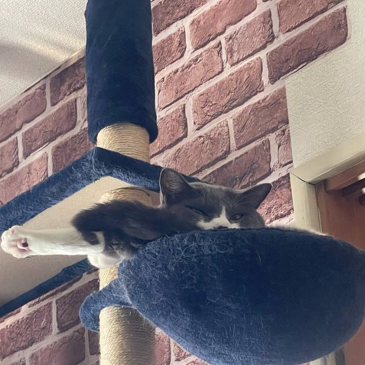 Cfc02391 553c 4edd 91b7 037d19eda5e1 1657088569969