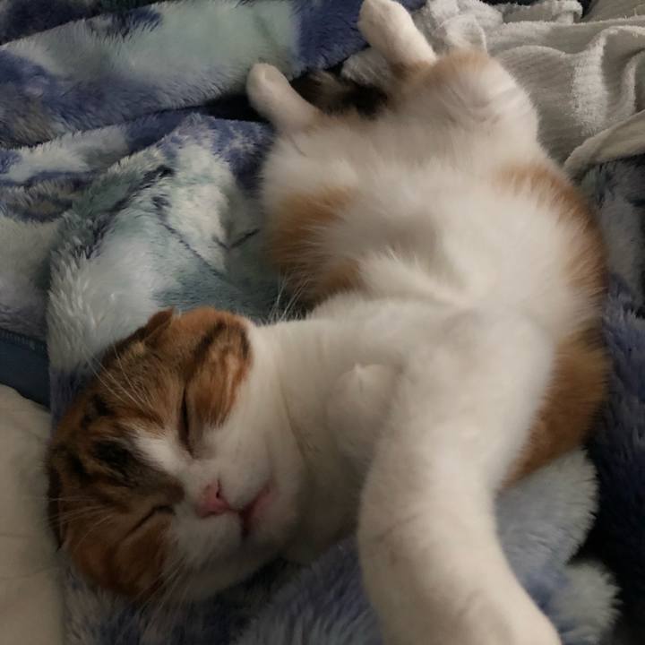 Cfc02703 1f72 49c8 99fd a9899462a065 1560573839726