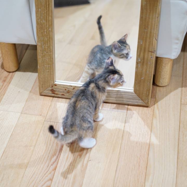 Cfc02a35 9a74 4565 ae68 a211ac3149a1 1567518273356